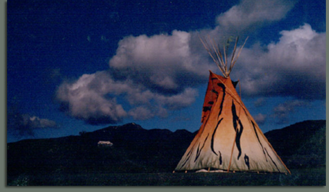 Tiger Tipi in Pinnacle valley