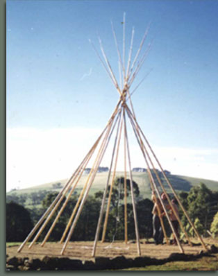 Tipi poles errected