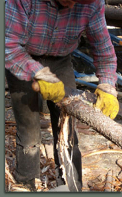 Debarking the Tipi poles